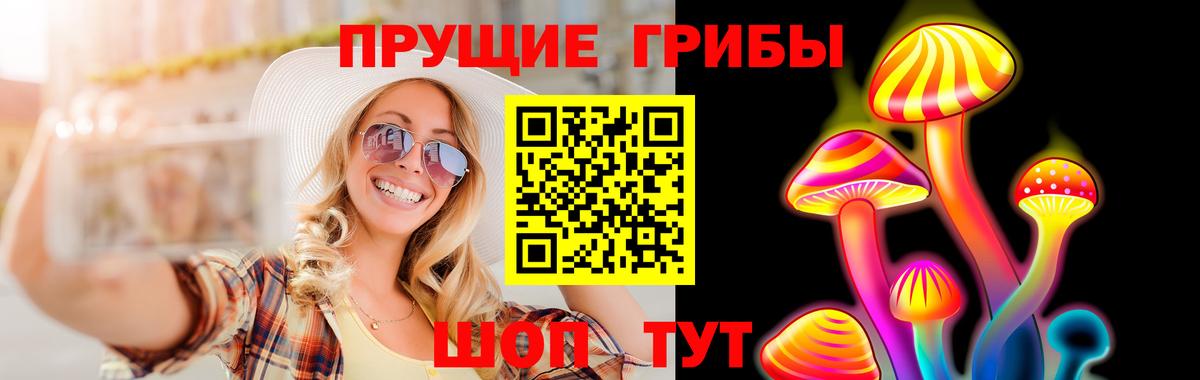 Кингисепп  Галлюциногенные грибы GOLDEN TEACHER  Вход с VPN  Псилоцибиновые грибы Magic Shrooms 